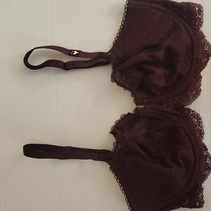NWT Victoria's Secret Dream Angel's lace bra